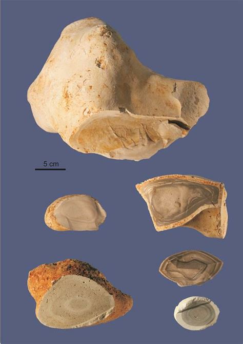 chert nodule pics.